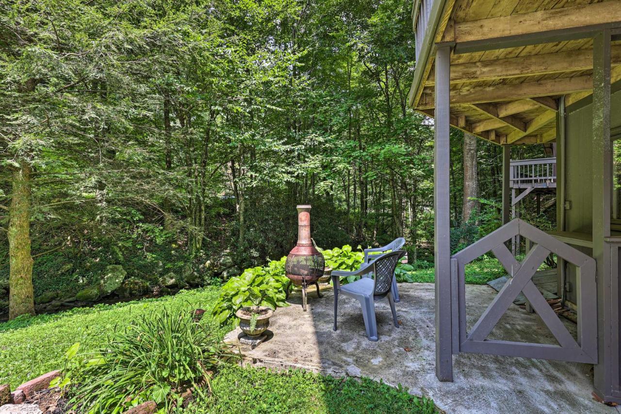 Creekside Roan Mountain Cabin Walk To Trails Екстер'єр фото