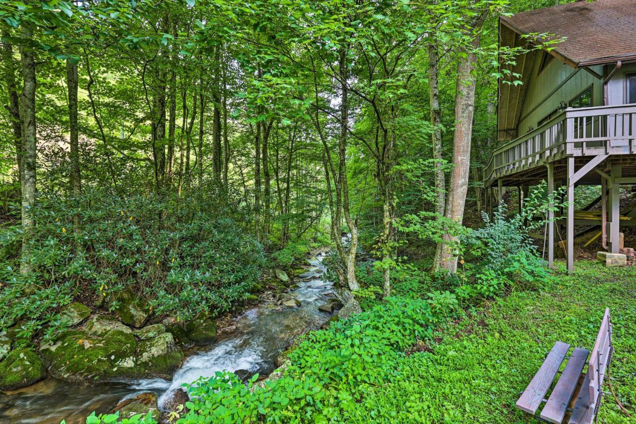 Creekside Roan Mountain Cabin Walk To Trails Екстер'єр фото