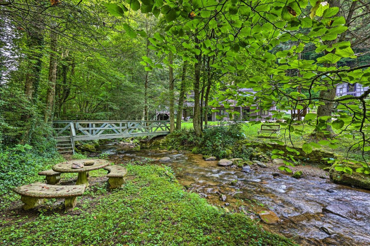 Creekside Roan Mountain Cabin Walk To Trails Екстер'єр фото